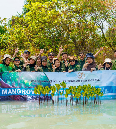 PT Pudjiadi Prestige TBK Memulai Penanaman 1500 Mangrove Jenis Rhizophora Stylosa di Pulau Tidung Kecil dalam Rangka Program CSR