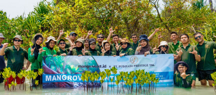 PT Pudjiadi Prestige TBK Started Planting 1500 Mangroves Rhizophora Stylosa Type in Tidung Kecil Island in the Framework of CSR Program